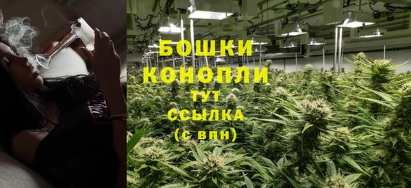 ПСИЛОЦИБИНОВЫЕ ГРИБЫ Абаза