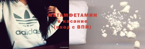 ПСИЛОЦИБИНОВЫЕ ГРИБЫ Абаза