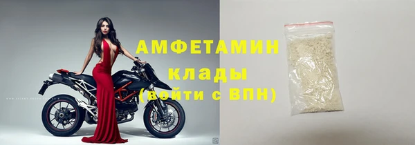 ПСИЛОЦИБИНОВЫЕ ГРИБЫ Абаза
