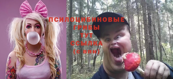 ПСИЛОЦИБИНОВЫЕ ГРИБЫ Абаза