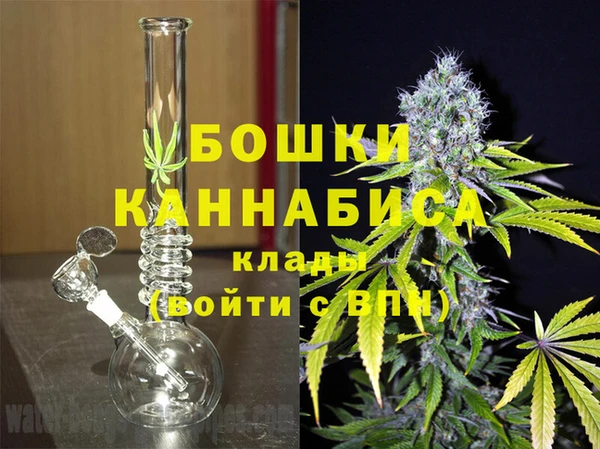 ПСИЛОЦИБИНОВЫЕ ГРИБЫ Абаза