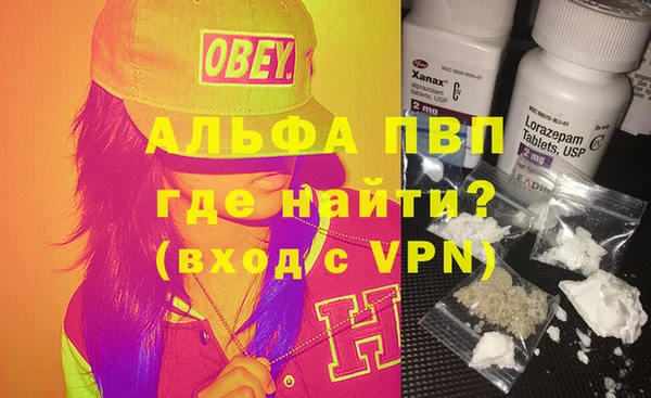 ПСИЛОЦИБИНОВЫЕ ГРИБЫ Абаза