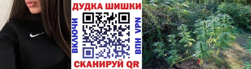 кракен ТОР  Алейск  Бошки марихуана сатива 